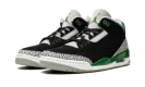 Air Jordan 3 Retro "Pine Green"