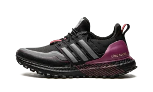 UltraBoost C.RDY DNA