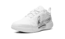 ZOOM COURT PRO HC MNS WMNS "White / Metallic Silver"