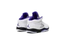 Air Jordan 5 Retro TD "Concord"