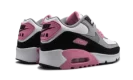 Air Max 90 LTR (GS) "Rose Pink"
