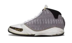 Air Jordan 23 318376 102