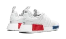 NMD_R1