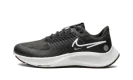 AIR ZOOM PEGASUS 38 SHIELD WMNS "Black Platinum Tint"