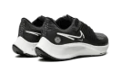AIR ZOOM PEGASUS 38 SHIELD WMNS "Black Platinum Tint"