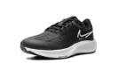 AIR ZOOM PEGASUS 38 SHIELD WMNS "Black Platinum Tint"