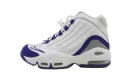 Air Griffey Max 2 GS "Deep Royal Blue"
