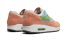 Air Max 1 "Light Madder Root"