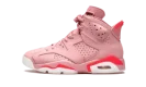 AIR JORDAN 6 RETRO NRG WMNS "Aleali May"