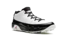 Air Jordan 9 Golf "White Black" FJ5934 100