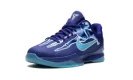 Kobe 5 GS "X-Ray"