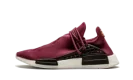 NMD Humanrace R1 "Pharrell Williams - Friends and Family"