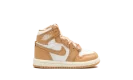 Air Jordan 1 Retro High OG TD "Praline"