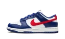 DUNK LO MNS WMNS "USA"