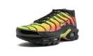 AIR MAX PLUS TN SE MNS WMNS