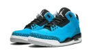 Air Jordan 3 Retro "Powder Blue"