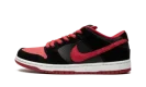 Dunk Low Pro SB "Jpack"