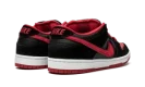 Dunk Low Pro SB "Jpack"