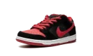 Dunk Low Pro SB "Jpack"