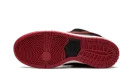 Dunk Low Pro SB "Jpack"