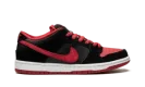 Dunk Low Pro SB "Jpack"