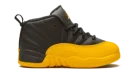 Air Jordan 12 Retro TD "University Gold"