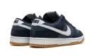 Dunk Low Retro SE "Monsoon Blue"