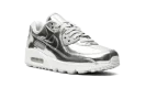AIR MAX 90 WMNS "Metallic Pack - Silver"