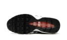 AIR MAX 95 WMNS "Light Iron Ore / Black Patent"