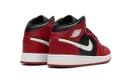 Air Jordan 1 "red" DQ8423-061