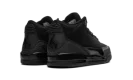Air Jordan 3 GS "Black Cat"