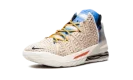 Lebron 18 "Multi Animal Print"
