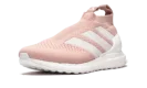 Ace 16+ Kith UltraBoost "KITH FLAMINGOS"