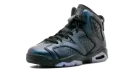Air Jordan 6 Retro AS GS "All-Star - Chameleon" 907960 015