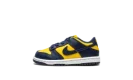 Dunk Low TD "Michigan"