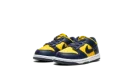 Dunk Low TD "Michigan"