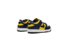 Dunk Low TD "Michigan"