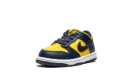 Dunk Low TD "Michigan"