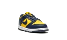 Dunk Low TD "Michigan"