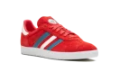 Gazelle "Chile"