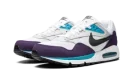 AIR MAX CORRELATE MNS WMNS