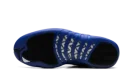 Air Jordan 12 "Blueberry"