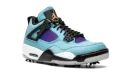 Air Jordan 4 Golf "Torrey Pines"