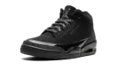 Air Jordan 3 "Black Cat 2025" CT8532 001