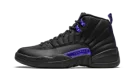 Air Jordan 12 Retro "Dark Concord"