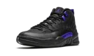 Air Jordan 12 Retro "Dark Concord"
