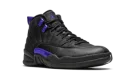 Air Jordan 12 Retro "Dark Concord"