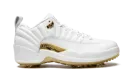 Jordan XII G NRG M22 "Jordan 12 Golf - White Metallic" DM0106 117