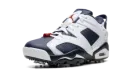 Air Jordan 6 Golf "Olympic" DV1376 101