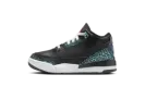 Air Jordan 3 PS "Moto" FV5438 001